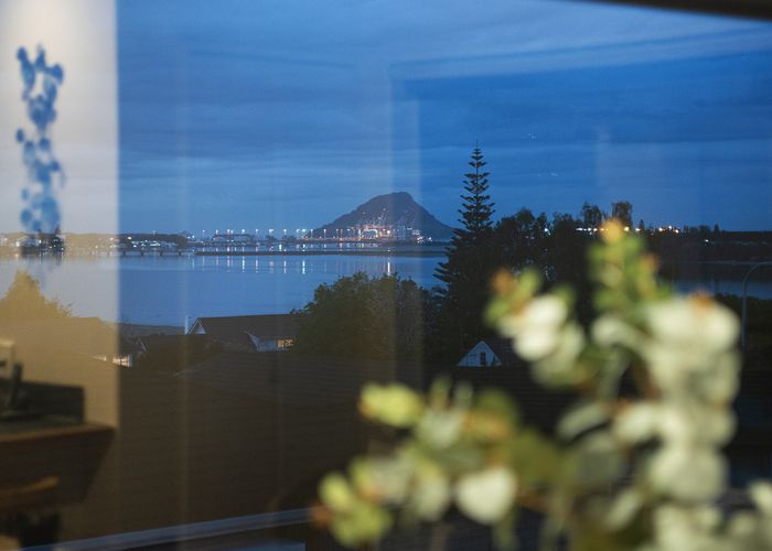  at 343 Maungatapu Road, Maungatapu, Tauranga