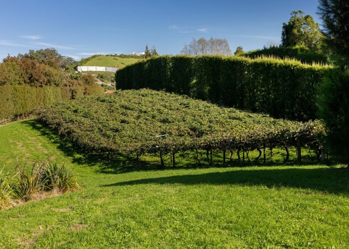  at 394 Old Highway, Whakamarama, Whakamārama