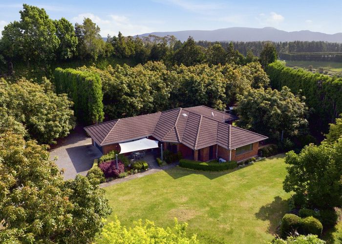  at 2165A State Highway 2, Aongatete, Western Bay Of Plenty, Bay Of Plenty