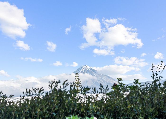  at 12 Barclay Street, Ferndale, New Plymouth, Taranaki