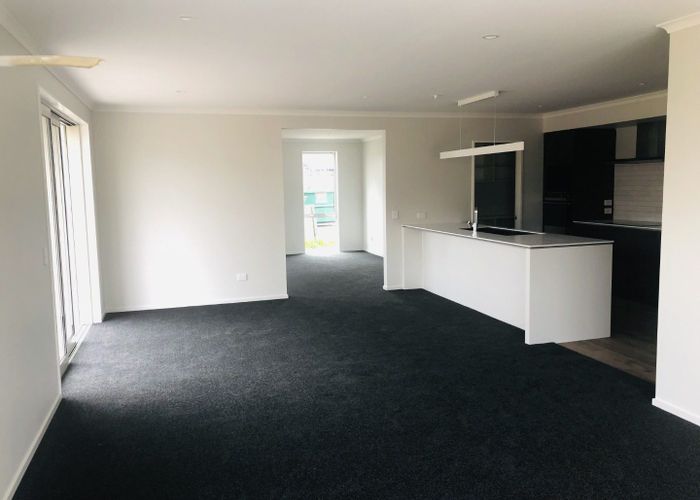  at 13 Midlane Cres, Richmond, Tasman, Nelson / Tasman