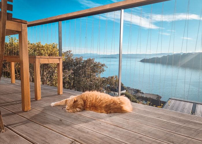  at 63 Grafton Road, Roseneath, Wellington, Wellington