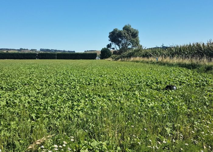  at 42 Shortland Road, Oamaru North, Oamaru