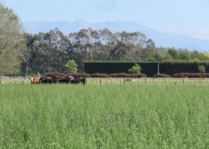  at 112C Hepburns Road, Allenton, Ashburton