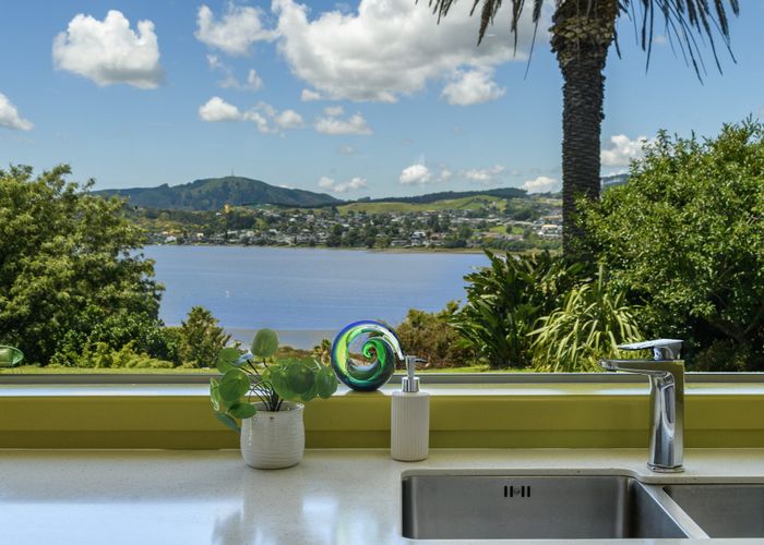  at 48 Taipari Street, Maungatapu, Tauranga, Bay Of Plenty