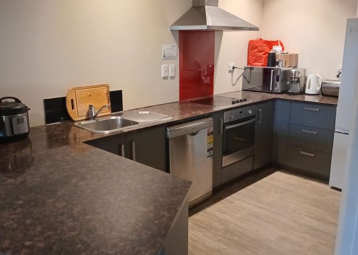  at 73 Buccleugh St, North Dunedin, Dunedin, Otago