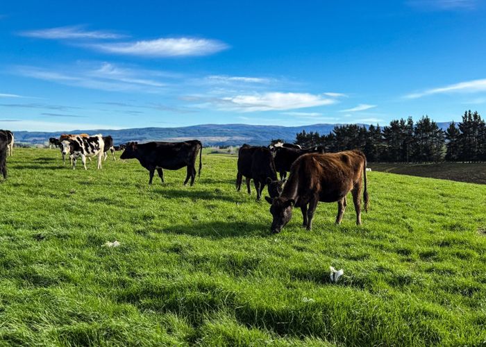  at 140 + 612 Reserve Road, Tuapeka Mouth, Clutha, Otago
