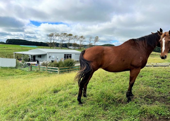  at 133 Taikorea Road, Glen Oroua, Palmerston North