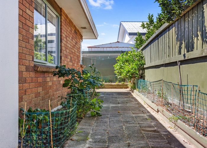  at 19 Matapihi Road, Mount Maunganui