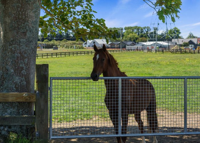  at 3714 Cambridge Road, Leamington, Waipa, Waikato