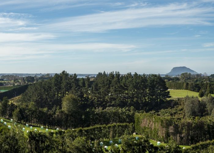  at 198B Snodgrass Road, Te Puna