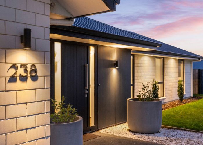  at 238 Taylor Pass Road, Witherlea, Blenheim, Marlborough