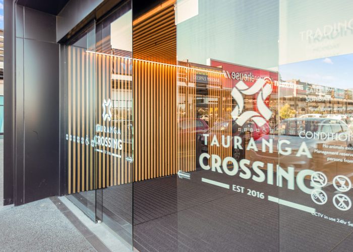  at 217 Te Ranga Memorial Drive, Pyes Pa, Western Bay Of Plenty, Bay Of Plenty