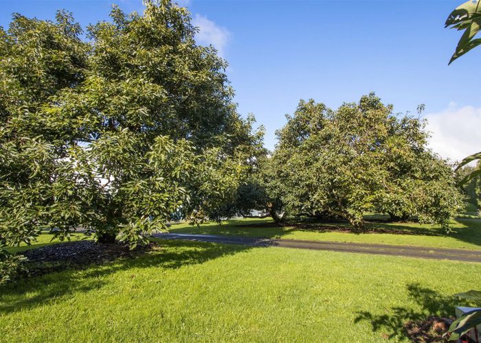  at 242 Woodland Road, Tahawai, Katikati