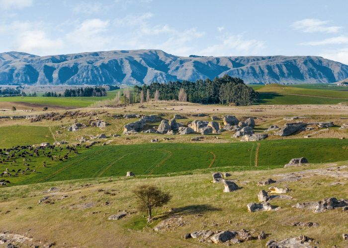 For sale 242 Island Cliff Road, Duntroon, Waitaki, Otago homes.co.nz