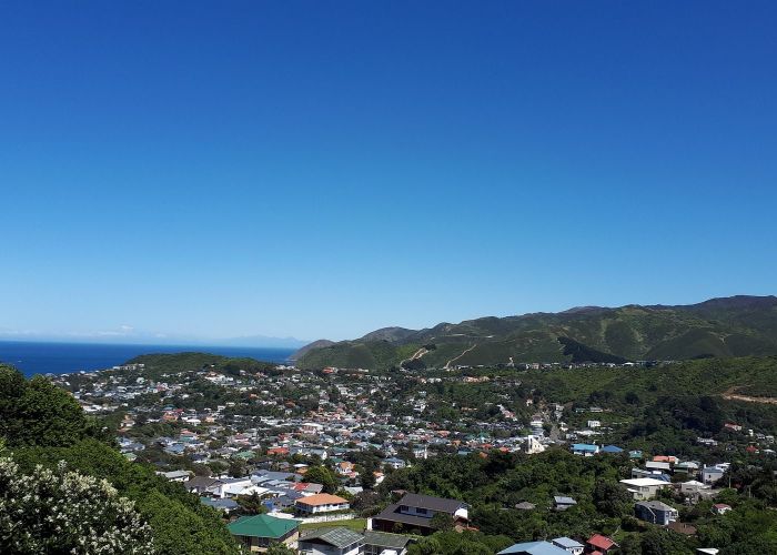  at Southgate, Wellington, Wellington