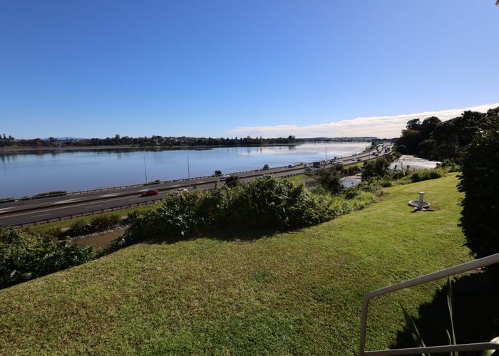  at 146 Spring Street, Tauranga, Tauranga