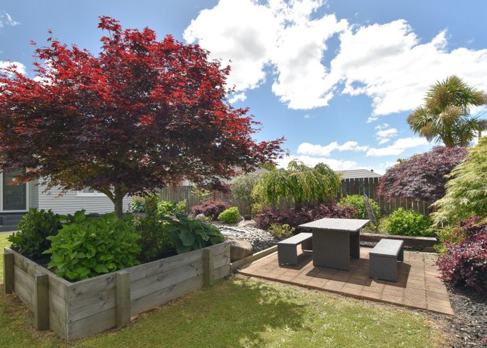  at 11 Puriri Crescent, Hillcrest, Rotorua