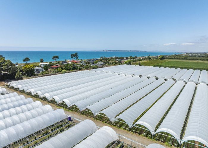  at Thurley Place, Bay View, Napier, Hawke's Bay