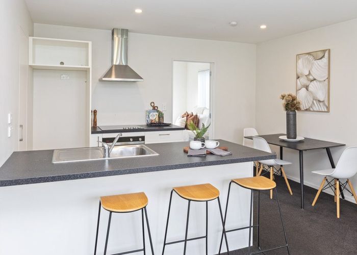  at 17/17 Bunyan Street, Sydenham, Christchurch City, Canterbury
