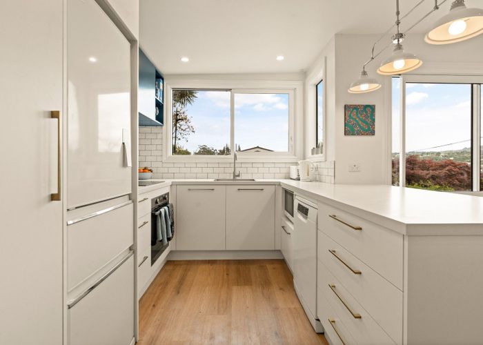  at 60 Craigleith Street, North East Valley, Dunedin
