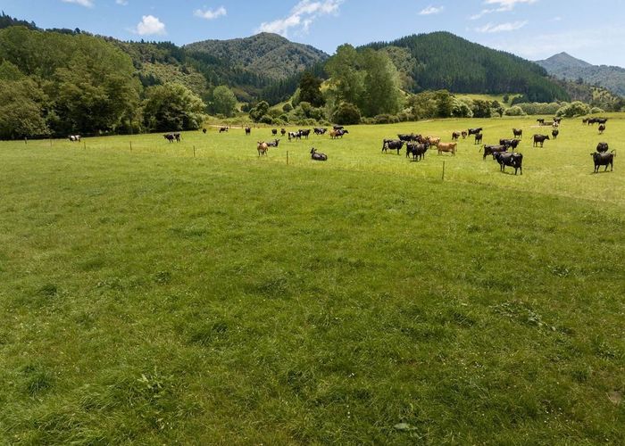  at 212 Ronga Road, Rai Valley, Marlborough, Marlborough