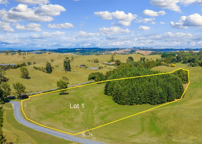  at 324 Palmer Mill Road, Wairakei, Taupo, Waikato