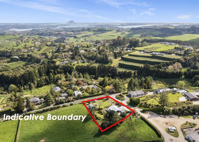  at 55 Neewood Road, Ohauiti