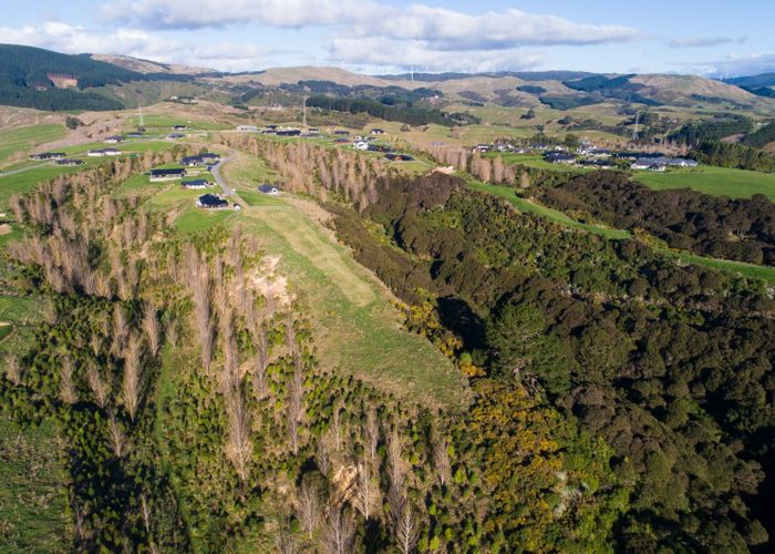  at 17 Chatfield Lane, Aokautere, Palmerston North, Manawatu / Whanganui