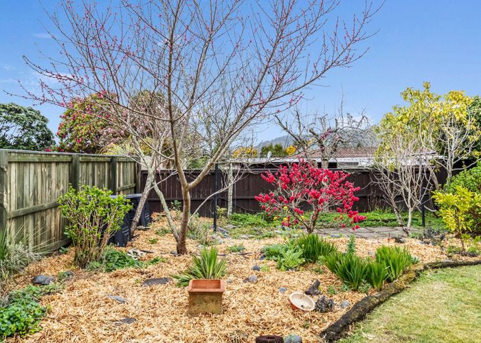  at 17 Gwendoline Street, Glenholme, Rotorua, Bay Of Plenty