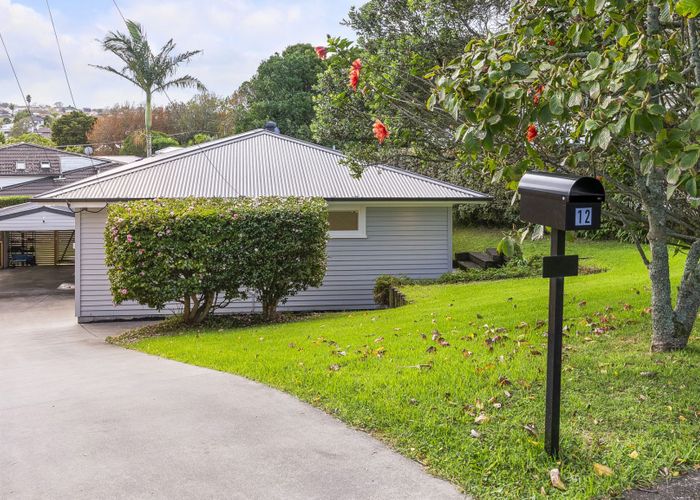  at 12 Aragon Avenue, Glendowie, Auckland