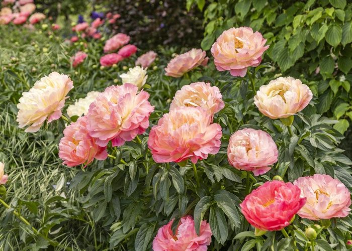  at 42D Gladsmuir Road, Queensberry, Wanaka, Otago