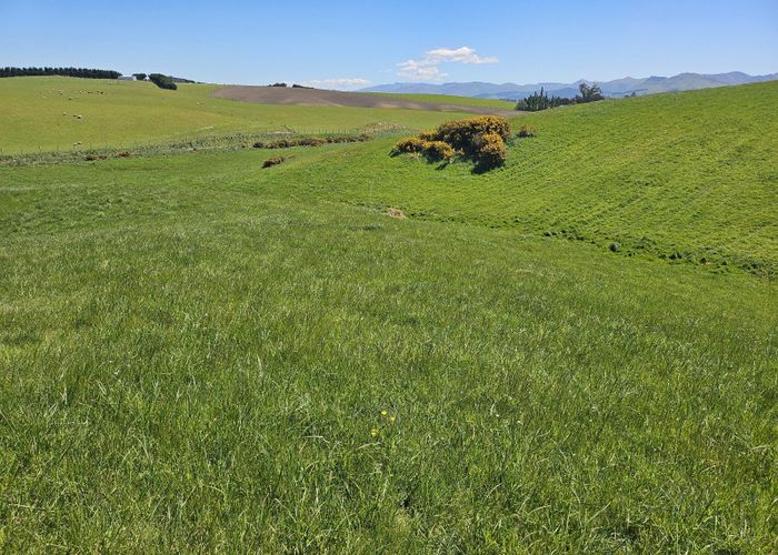  at 116 Burraness Street, Palmerston, Waitaki, Otago