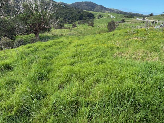  at Lot 3/101 Brooklands Way, Kaiwaka, Kaipara, Northland