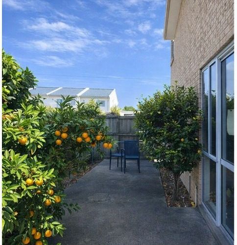  at 380 Selwyn Street, Addington, Christchurch City, Canterbury