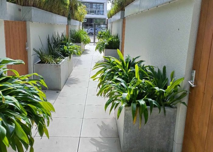  at 303/30 Enfield St, Mount Eden, Auckland City, Auckland
