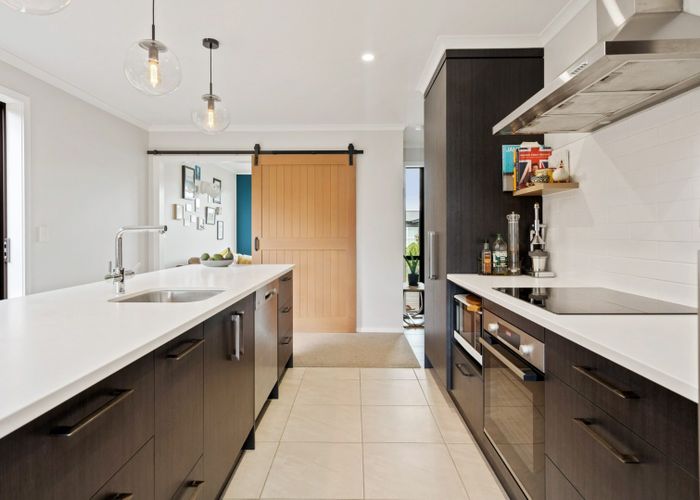  at 17 Voight Avenue, Chartwell, Hamilton, Waikato