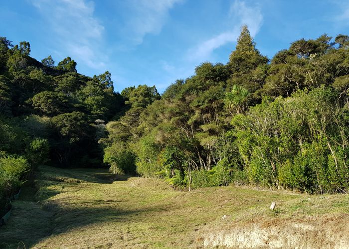 at 36 Stevensons Crescent, Albany Heights, Auckland