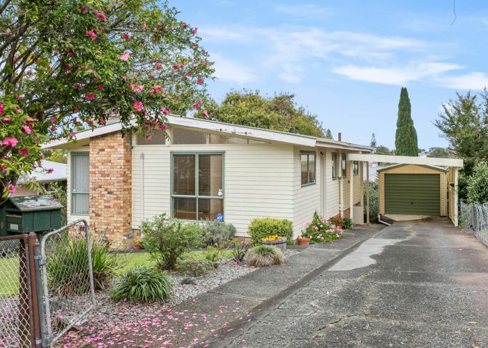  at 55 Batkin Road, New Windsor, Auckland