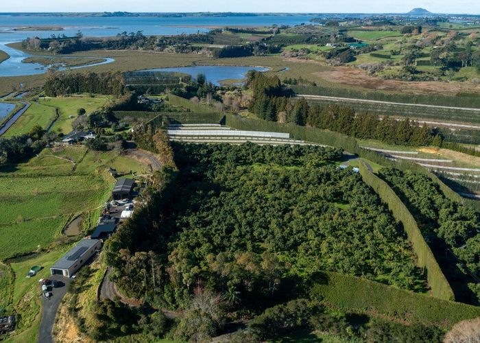  at 12 Sargent Drive, Whakamarama, Western Bay Of Plenty, Bay Of Plenty