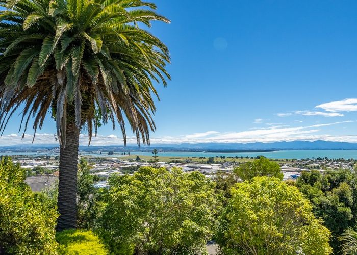 at 75 Chamberlain Street, Tahunanui, Nelson