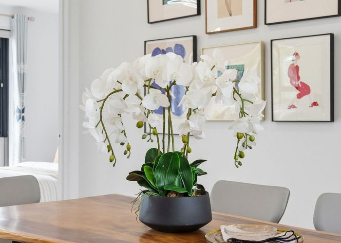  at 4A Fowler Street, Northcote, North Shore City, Auckland