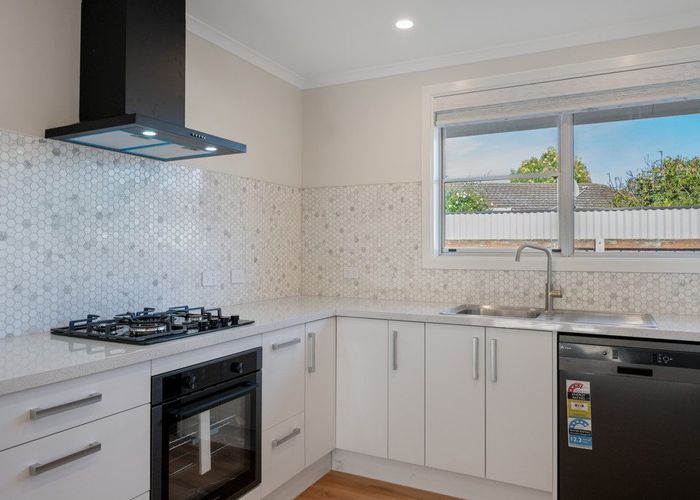 at 19 Newbourne Crescent, Redwoodtown, Blenheim, Marlborough