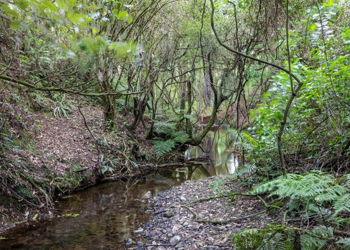  at 137 Kiritaki Road, Dannevirke