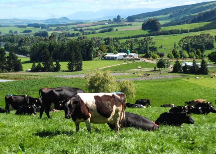  at 1101+1028 Otautau Tuatapere Road, Otautau, Southland, Southland