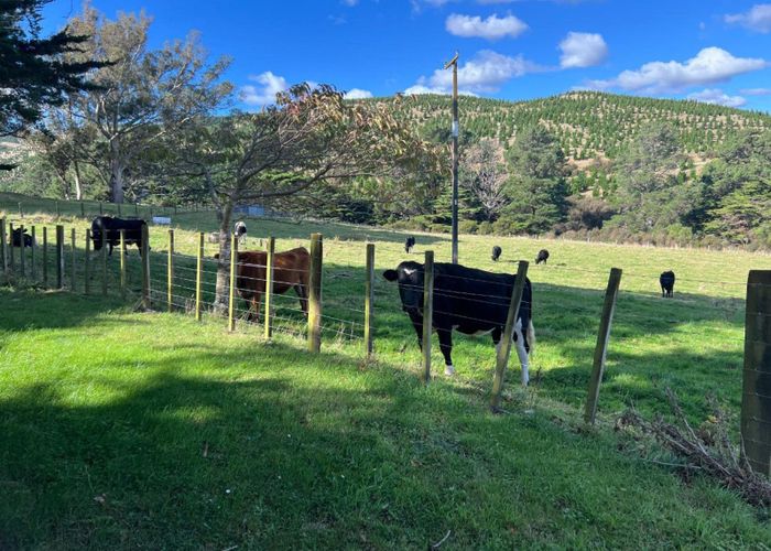  at 923 Oporae Rd, Dannevirke, Tararua, Manawatu / Whanganui
