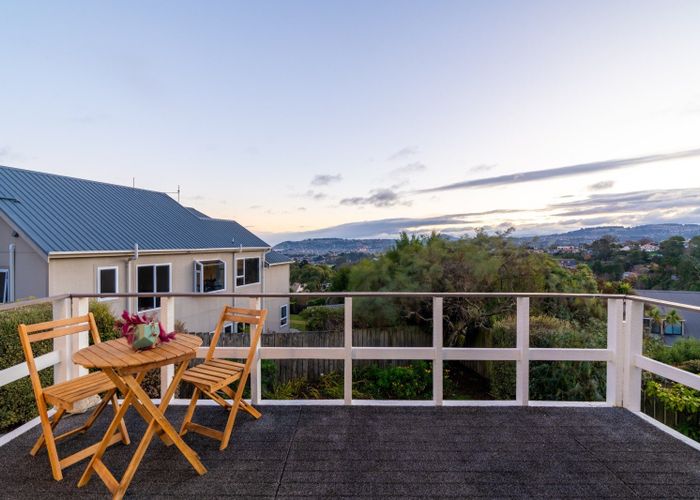  at 19 Calvert Place, Shiel Hill, Dunedin