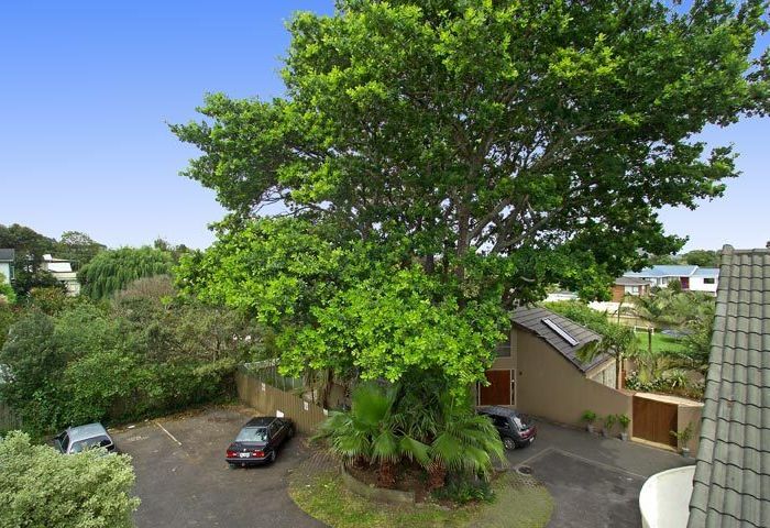  at Mount Eden, Auckland City, Auckland