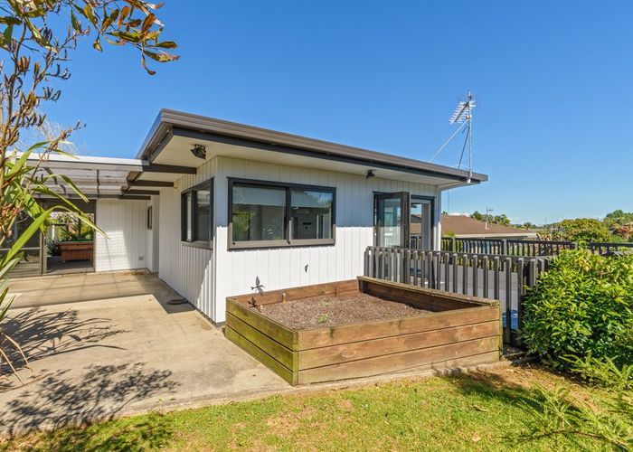  at 17 Hairini Street, Hairini, Tauranga
