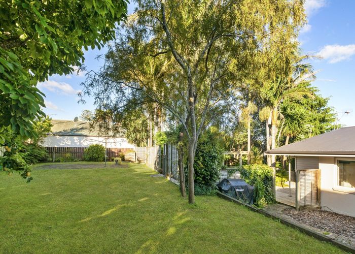  at 67 Fifteenth Avenue, Avenues, Tauranga, Bay Of Plenty